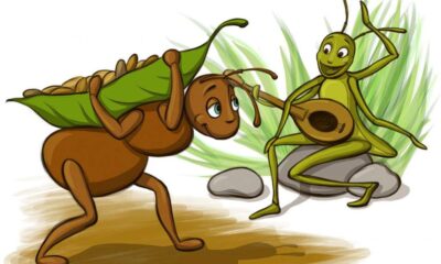 the ants and the grasshopper stories