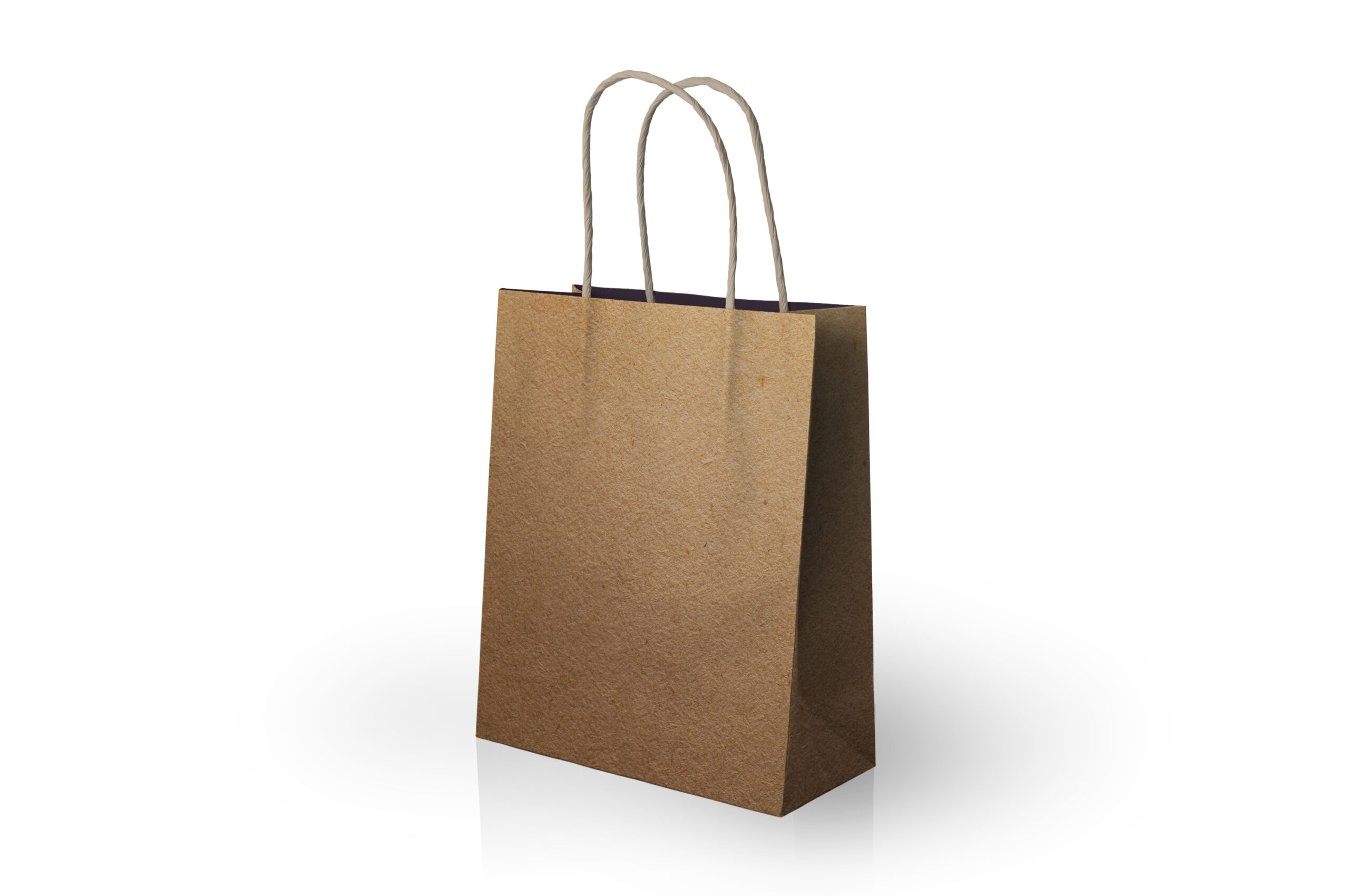 Paper bag